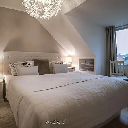 Apartment Holiday New Love