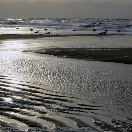 Apartment Holiday New Love Zingst